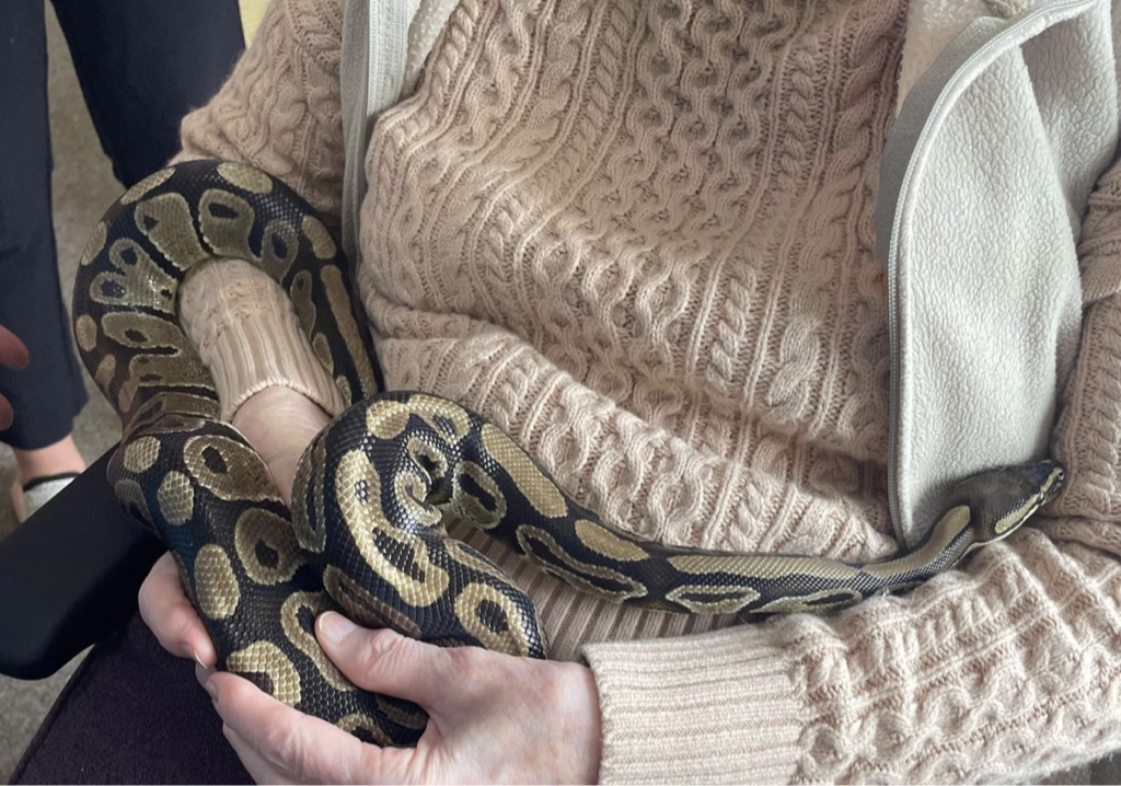 resident holding snake