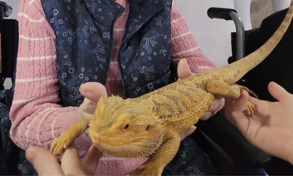 Resident Holding Large Iguana