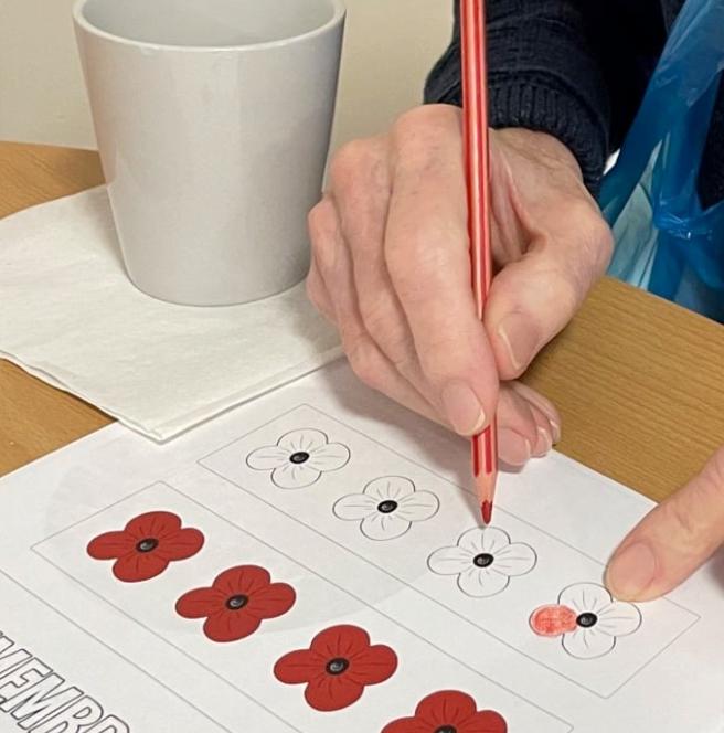 resident-colouring-in-poppies