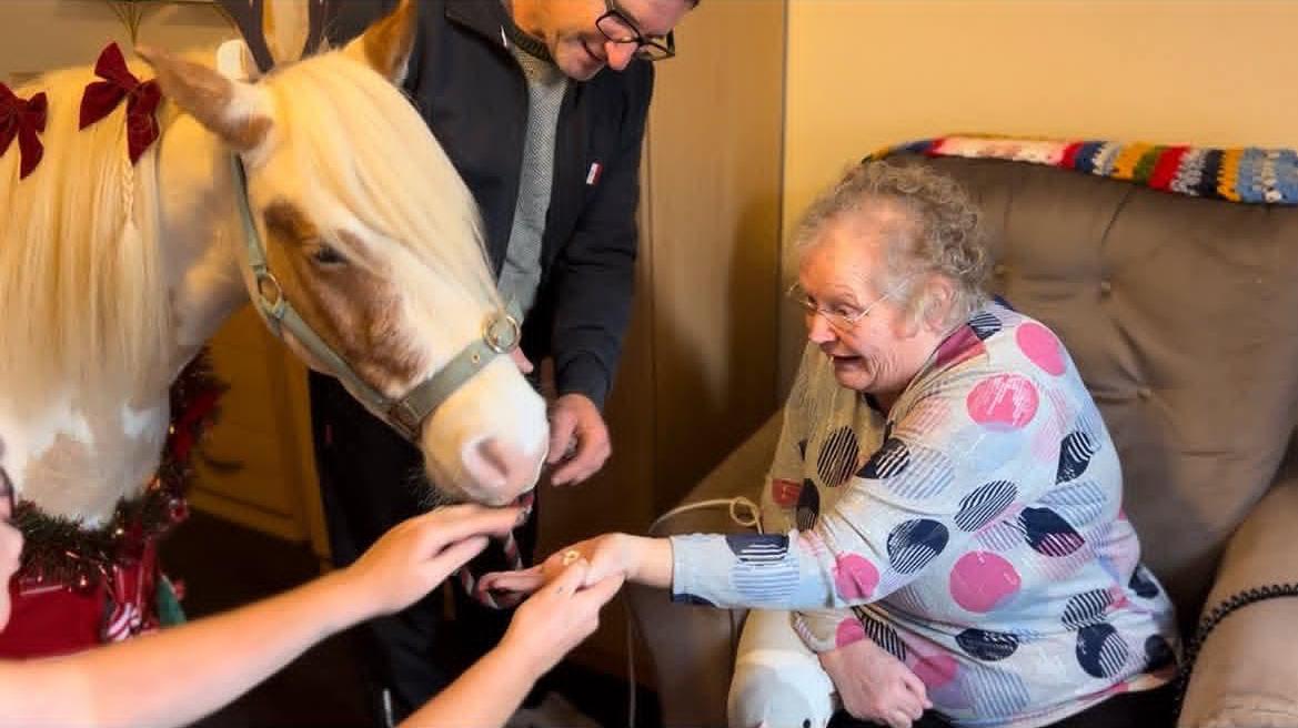 elderly woman feeding a pet therapy horse inside a care home