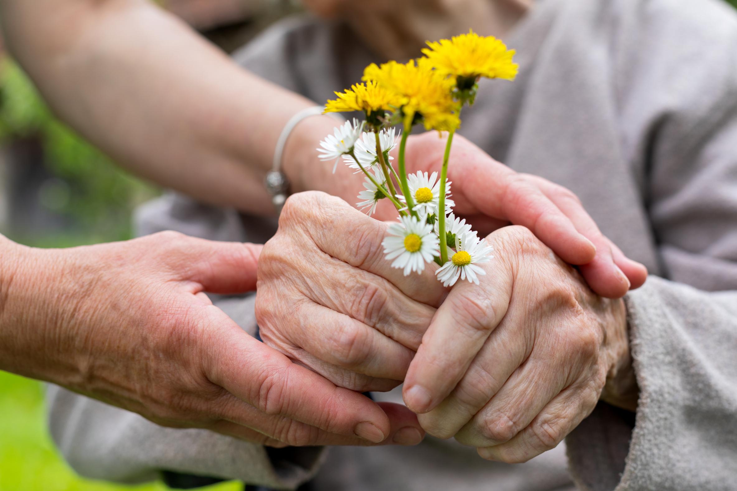 an elderly person's hands holding flowers